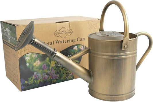 1 Gallon Galvanized Metal Watering Can, Retro Bronze Tone with Detachable Spout, Vintage Rustic Decorative Water Pot for Home Garden Indoor Outdoor Plants