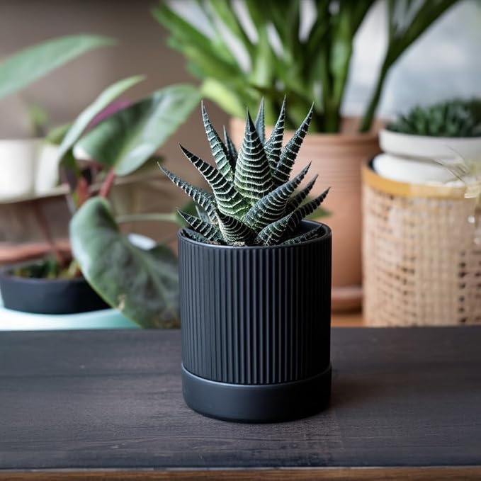 HERDUK Small Plant Pots, 4 Inch Pots for Indoor Plants, Modern Minimalist Ceramic Plant Pots with Drainage Hole & Saucer, Matte Black Set of 2