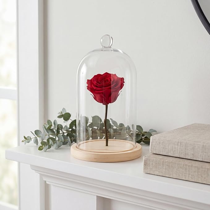 Lyellfe 2 Pack Cloche Glass Dome, 8'' x 5'' Dome Cloche with Rustic Wooden Base, Glass Cloche Bell Jar Display for Plants, Fairy Lights or Table Decor
