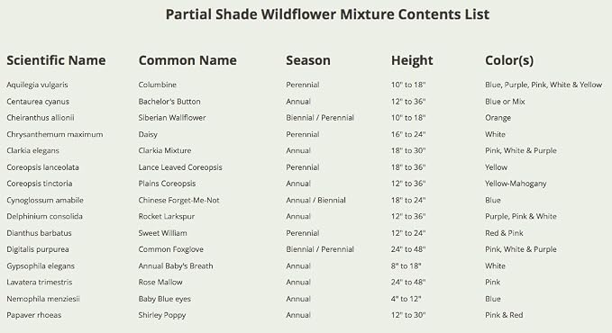 Seed Needs Partial Shade Wildflower Seeds Heirloom 2 Ounce Bulk Pack