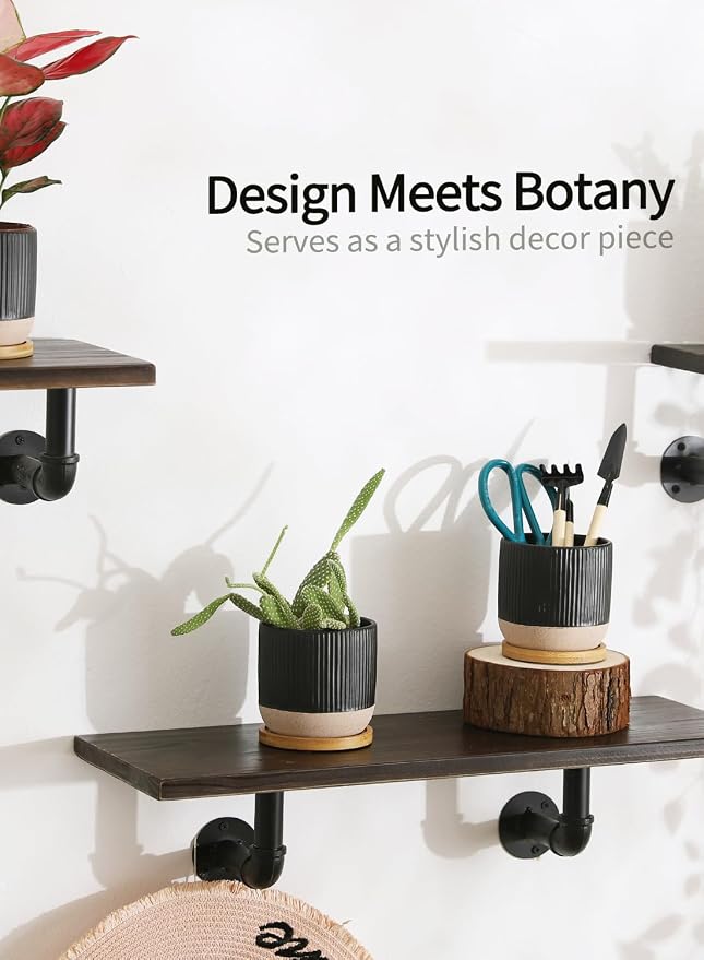 4" Black Ceramic Plant Pots with Drainage Holes & Trays Set of 4 | Vertical Stripes Succulent Pot with Saucer, Small Flower Planter Sets for Indoor Plants, Cactus & Herbs