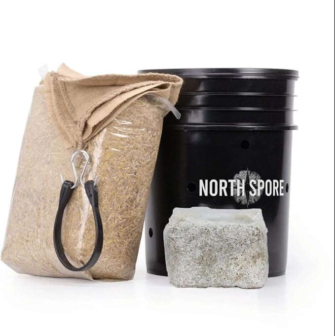 North Spore MushBucket Blue Oyster Mushroom Bucket Grow Kit, 3lbs Spawn Bag | Beginner-friendly Mushroom Growing Kit, Fully Colonized Organic Blue Oyster Grain Spawn Included, Pins in 7–10 Days
