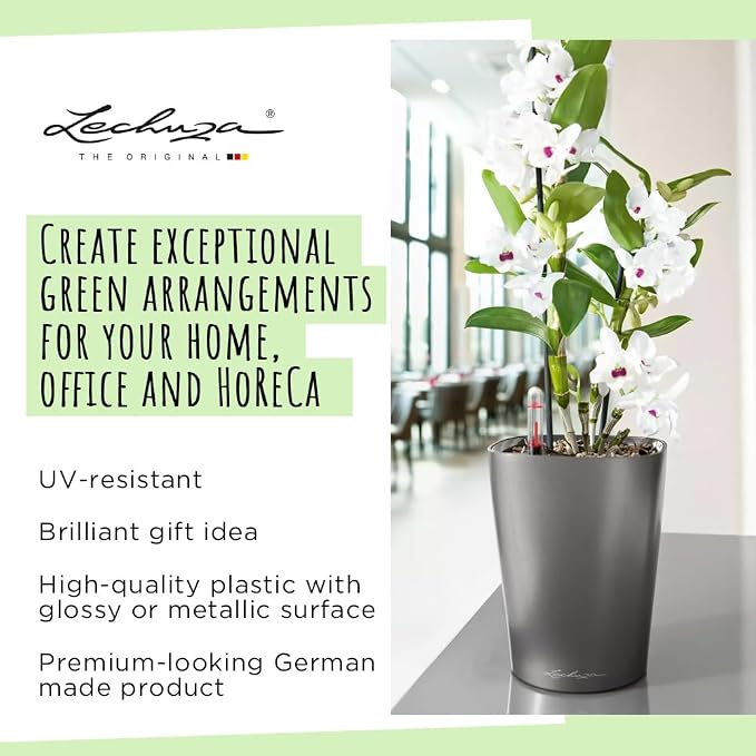 Lechuza 14903 Deltini Self-Watering Planter for Indoor and Outdoor Use, 6" x 6" x 7", Charcoal