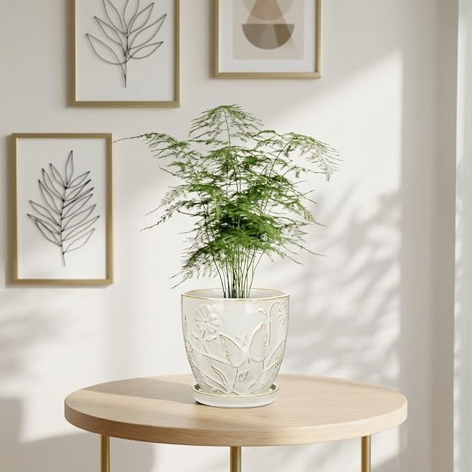 Hollyone 6 Inch White Ceramic Planter Flower Plant Pot with Drainage Hole and Saucer for Plants Embossed Indoor Outdoor Garden Embossed Ceramic Glazed Round Pot Large Butterfly Pattern