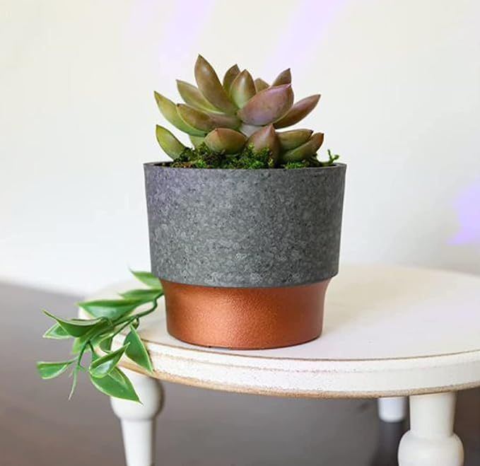 The HC Companies 3 Inch Sprite Mini Succulent Pot- Smal Plastic Planter with Drainage for Indoor Plants, Faux Concrete Copper