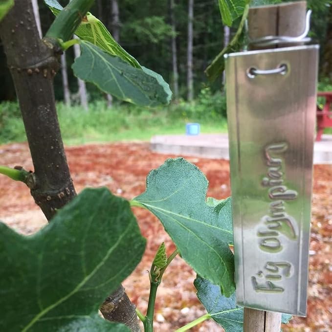Aluminum Plant Labels - 50PCS Metal Tags with Wires for Plant Markers, Tree Tags, Outdoor Identification and Greenhouse