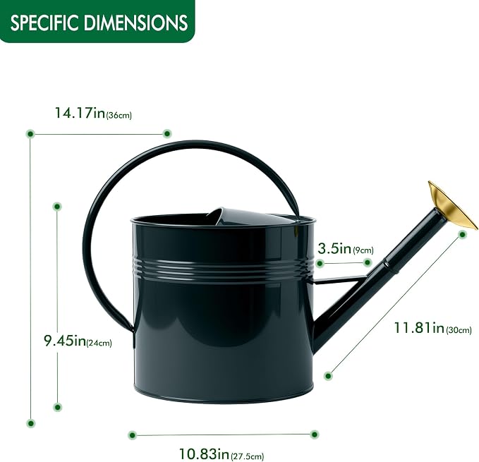 ‌2.5-Gallon Metal Watering Can,9.5L Large Galvanized Watering Can for Outdoor Plants with Removable Long Spout and Golden Handle