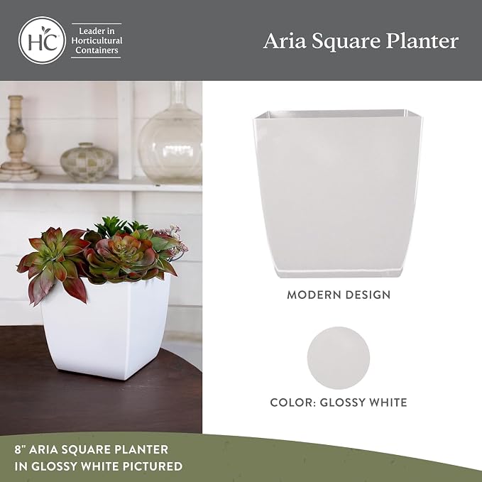 The HC Companies Aria Self Watering Square Plant Pot w/Drainage - Planters for Outdoor Plants & Indoor Plants - Lightweight & UV-Resistant Plastic Pots for Plants (6" Glossy White, Pack of 2)