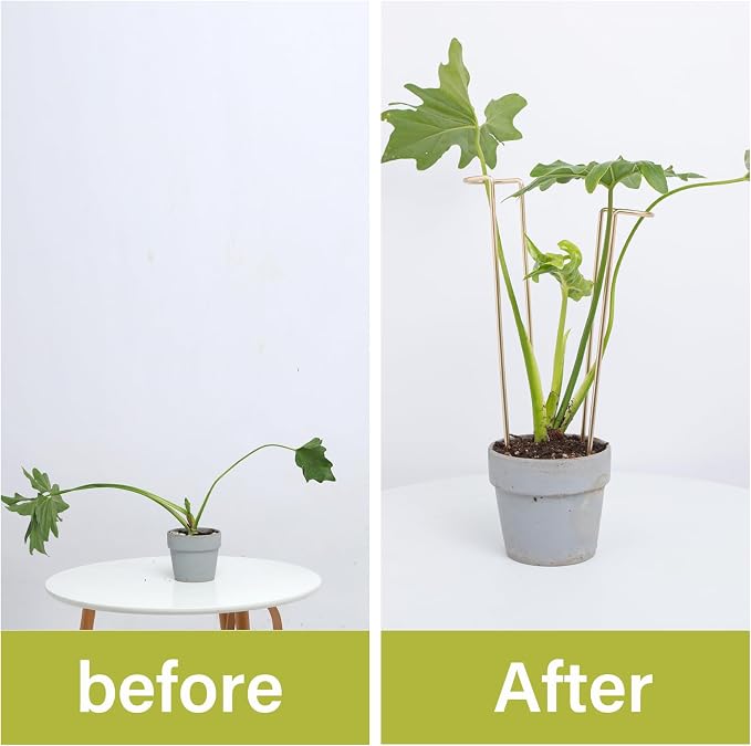 12-Inch Monstera Support - 10 Pack Medium Plant Support for Indoor and Outdoor Plants, Durable Stem Holder Trellis for Monstera and Spring Plant Stakes, Ideal for Home, Balcony, and Terrace