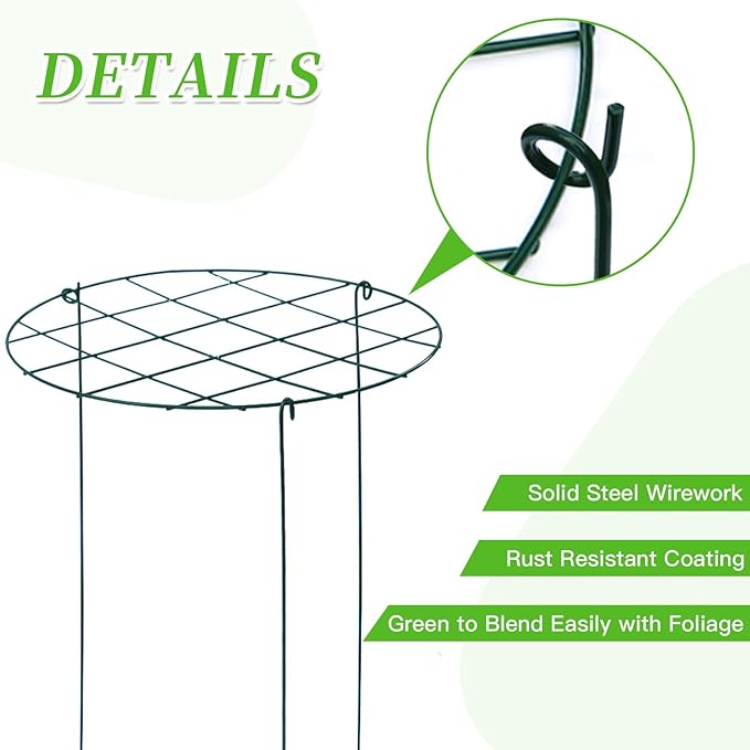 6 Pack Peony Cages and Supports 16 x 24 Inch Grow Through Plant Support Peony Support Ring for Outdoor Plants