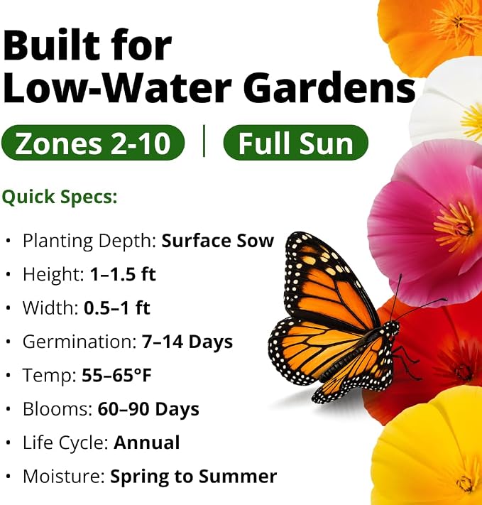HOME GROWN California Poppy Formula Mix Flower Seeds for Spring 2026 Planting, Eschscholzia californica, 3000 Seeds 3.9g, Heirloom Non-GMO California Wildflower Seeds Bulk, Poppy Flower Seed