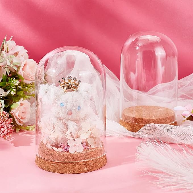 PH PandaHall 4pcs Cloche Glass Dome Clear Glass Display Dome with Cork Base Glass Decorative Jars Bottles for Display Collectibles Figurine Flower Storage Christmas Party Favor Decoration 3.15x5inch
