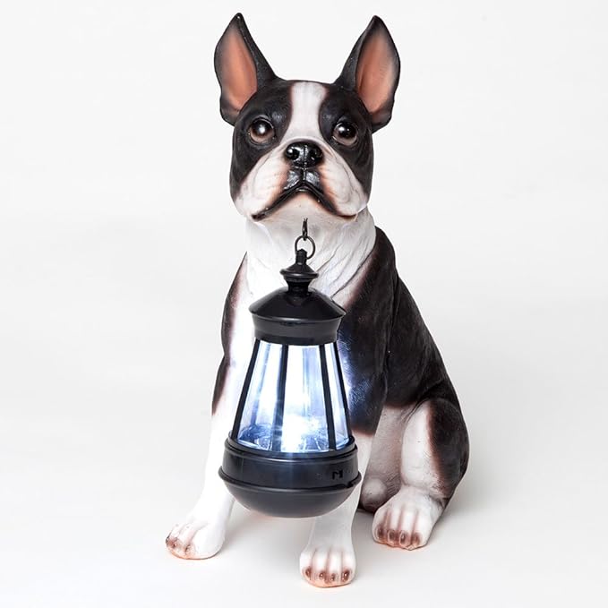 Bits and Pieces - Boston Terrier Solar Lantern Statue - Yard Decorations - Solar Powered Garden Lantern - Resin Dog Sculpture - Outdoor LED Lighting
