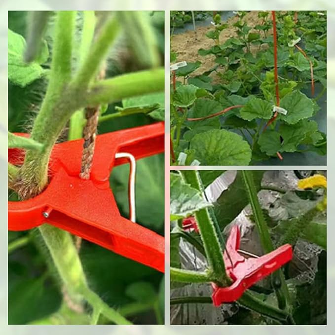 Plant Support Clips Reusable Garden Clips, Secured Plastic Plant Clips for Climbing Plants Outdoor, Plant Fixing Clips Tomato Clips for String Trellis, Vine Clips Trellis Clips (100, Red_30MM)