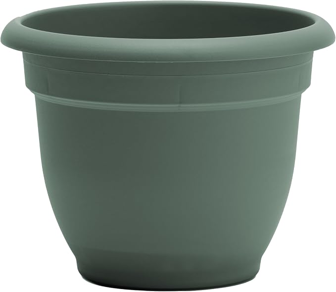 Bloem Ariana 16" Self-Watering Plastic Planter - Rolled Rim Indoor/Outdoor Garden Pot, Basil, 2-Pack