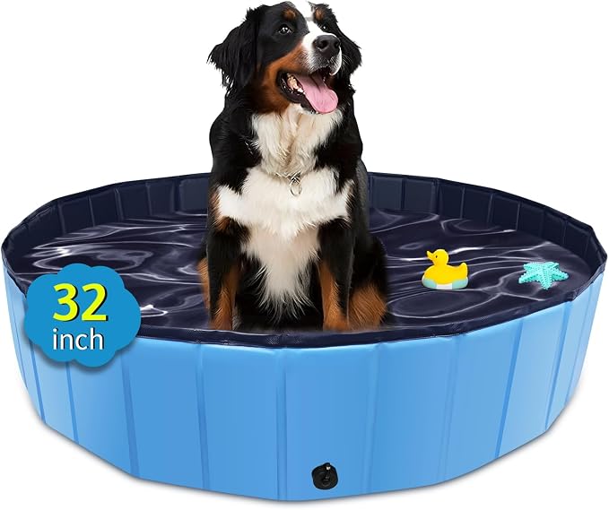 CACSPS Foldable Dog Pool, 32" x 8" Kiddie Pool with Hard Plastic, Non-Slip Dog Bath Tub for Outdoor Backyard, Collapsible Dog Swimming Pool for Kids Dogs Pets (Blue)