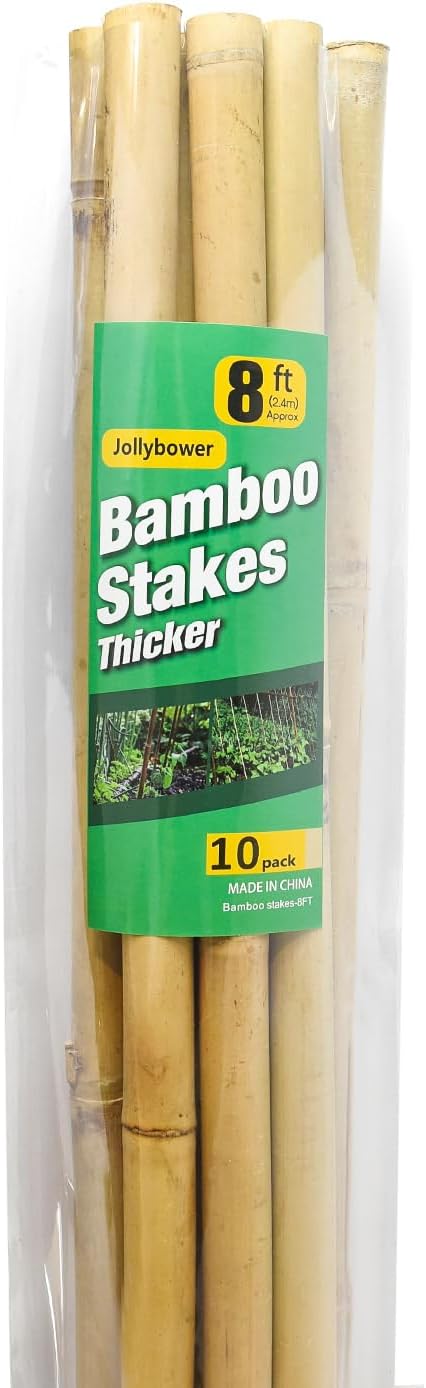 Jollybower 10pcs 1" D Thicker Heavy Duty Bamboo Stakes, 8FT Plant Stakes, Natural Garden Stakes for Tomato, Bean, Flowers,Trees Potted and Climbing Plant Support