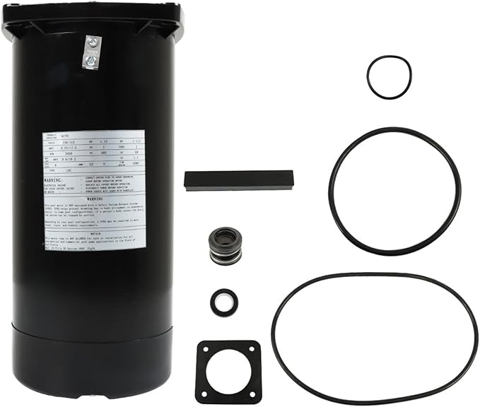 ASQ165 EUSQ1152 USQ1152 Square Flange Pool Motor 1.5HP | For Swimming Pool Circulation Equipment Replacement