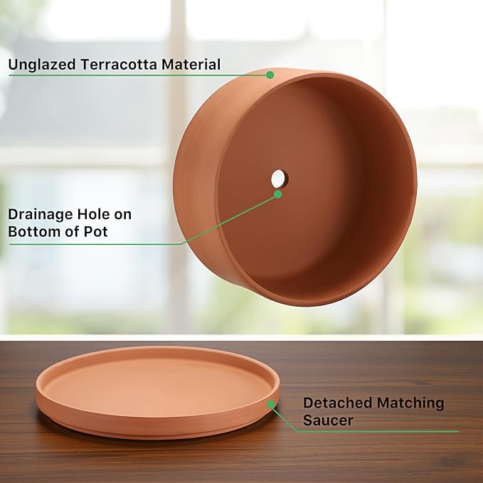 JUXYES 10 Inch Terracotta Shallow Pot with Holes and Saucers, Round Cylinder Succulent Planter Clay Flower Pots for Indoor and Outdoor Use, Decorative Bonsai Succulent for Mini Foliage Plants Orchids