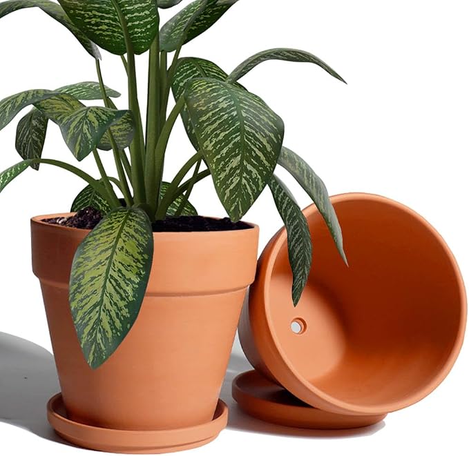 vensovo 8 Inch Clay Pot for Plant with Saucer - 2 Pack Large Terra Cotta Plant Pot with Drainage Hole, Clay Planters Pot, Terracotta Pot for Indoor Outdoor Plant
