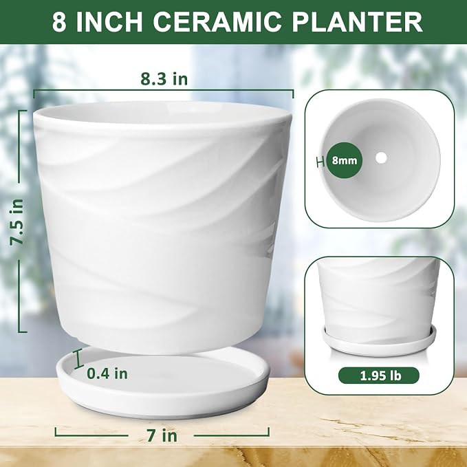 8 Inch Plant Pot,Ceramic Planter with Drainage and Saucer,Ceramic Pots for Plants,Indoor Plant pots,Ceramic Flower pots(Pure White)