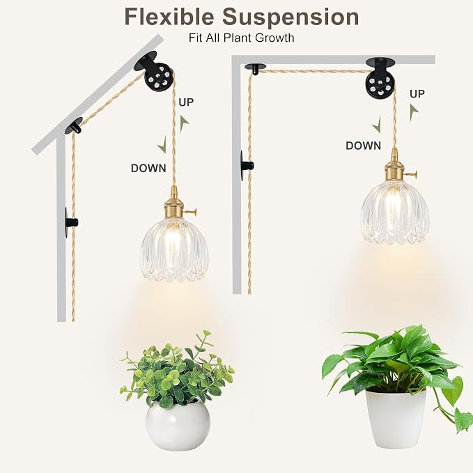 Hanging Grow Lights for Indoor Plants, 12W Full Spectrum 98+ CRI Grow Lamp, Dual CCT 3000K/4000K, Dual Switches, Pulley Height Adjustable, 13.12FT Cord, Petal Glass Plant Light for Indoor Flowers
