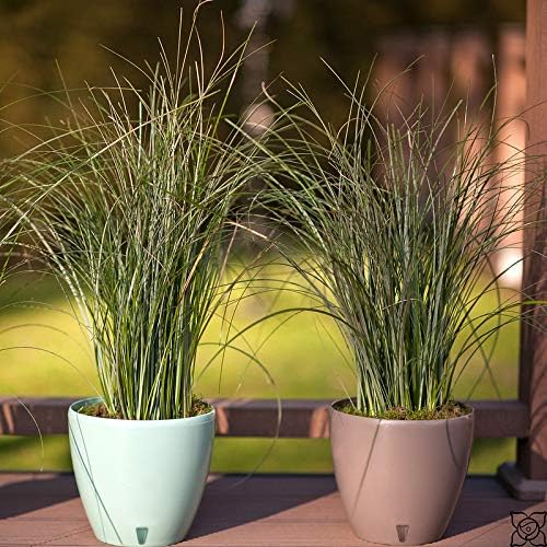 Santino 7.9 Inch Deco Self Watering Pots for Indoor Plants in Transparent (Set of 3) - Decorative Flower Pot with Water Level Indicator and Drainage Cartridge for All House Plants, Flowers and Herbs