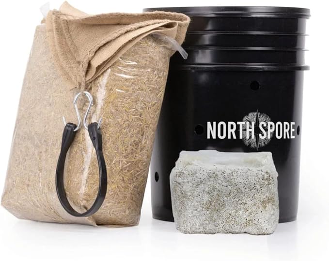 North Spore MushBucket Snow Oyster Mushroom Bucket Grow Kit | Grow Mushrooms at Home, Beginner-friendly, 3lb Organic Grain Spawn & Pesticide-free Chopped Straw, Pins in 7–10 Days