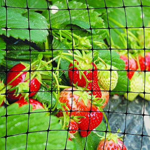 TENAX Ornex LM Bird Netting 14' x 1,000' Black