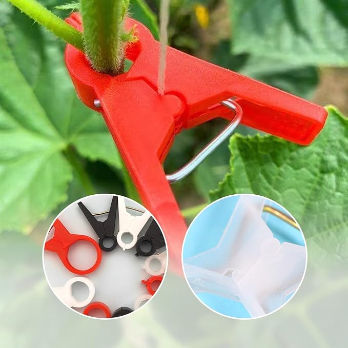 Plant Support Clips Reusable Garden Clips, Secured Plastic Plant Clips for Climbing Plants Outdoor, Plant Fixing Clips Tomato Clips for String Trellis, Vine Clips Trellis Clips (100, Clear_18MM)