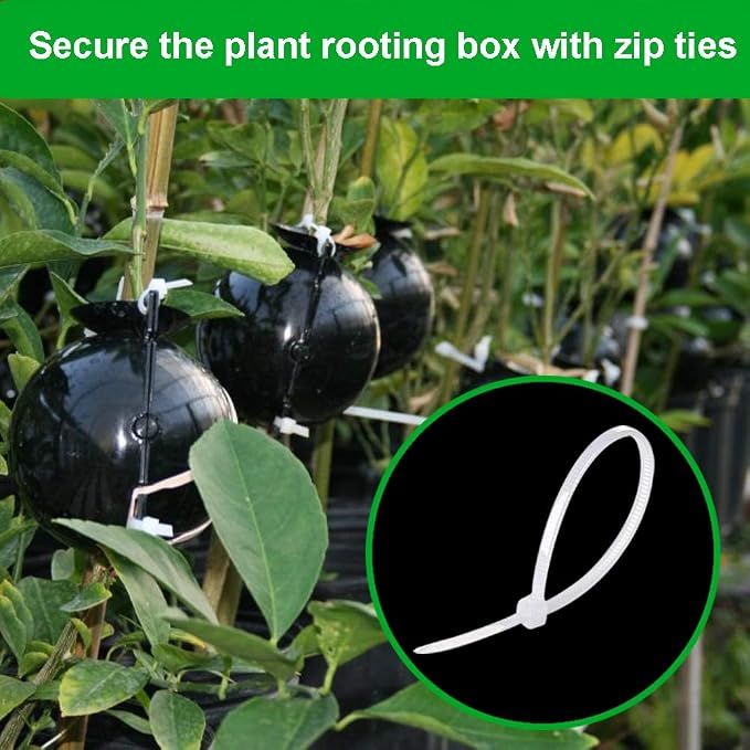 nutroeno 15 pcs Plant Root Growing Box Cloning Ball - Air Layering Reusable Plant Rooting Device, High Pressure Grafting Propagation Ball, Assisted Cutting Rooting for Plants Asexual Reproduction(L)