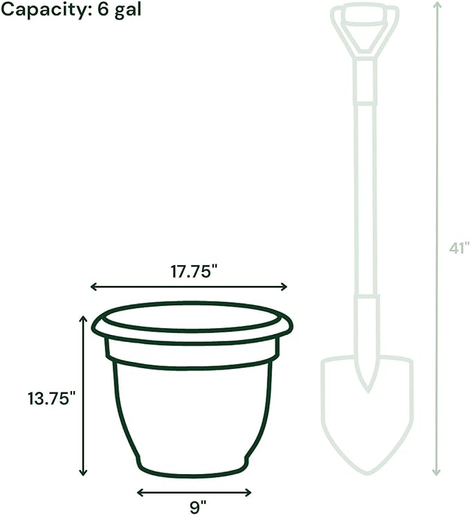 Bloem Ariana 16" Self-Watering Plastic Planter - Rolled Rim Indoor/Outdoor Garden Pot, Vanilla Bean