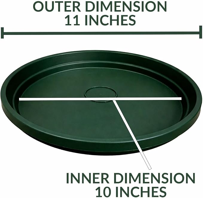 10 Inch Plant Pot Tray USA Made – Durable Plastic Flower Pot Saucer – Plant Water Catcher for Indoor Outdoor Garden (6, Deep Forest)
