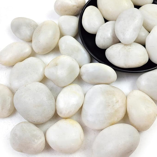 10LB White River Rocks - 2-3 inch High Polished Decorative Pebbles for Landscaping, Outdoor Decor and Plants