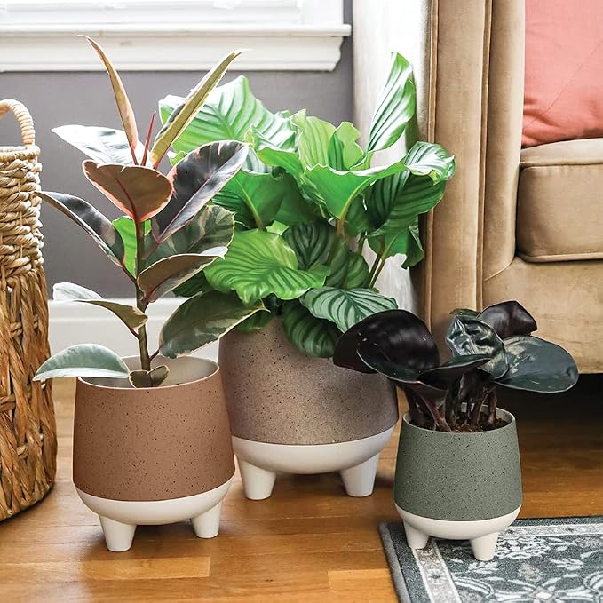 The HC Companies 8 Inch Orion Self Watering Planter - Lightweight Indoor Plastic Plant Pot for Herbs and Flowers, Muted Clay