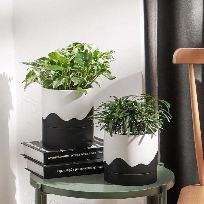 Nihow Ceramic Self Watering Plant Pot for Indoor Plants,6 Inch,White Black | Planter with Cotton Wick, Drainage Hole & Water Storage Plus, Cylinder Round Flower Pot, For Succulent/Herbs/Violets