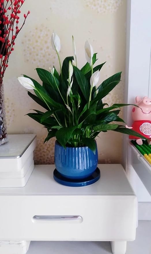 Yukfona Ceramic Plant Saucer Tray 1 Pcs 12 Inch Blue, 12.5" OD x11.9 ID x1.6 Deep| Fits Flower pots Bottom≤ 11.9", Heavy Duty Glazed Round Planter Drip with Catch Basin for Indoor Outdoor Plants