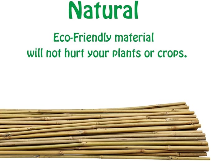 Mininfa Natural Bamboo Stakes 6 Feet, Eco-Friendly Garden Stakes, Plant Stakes Supports Climbing for Tomatoes, Trees, Beans, 20 Pack