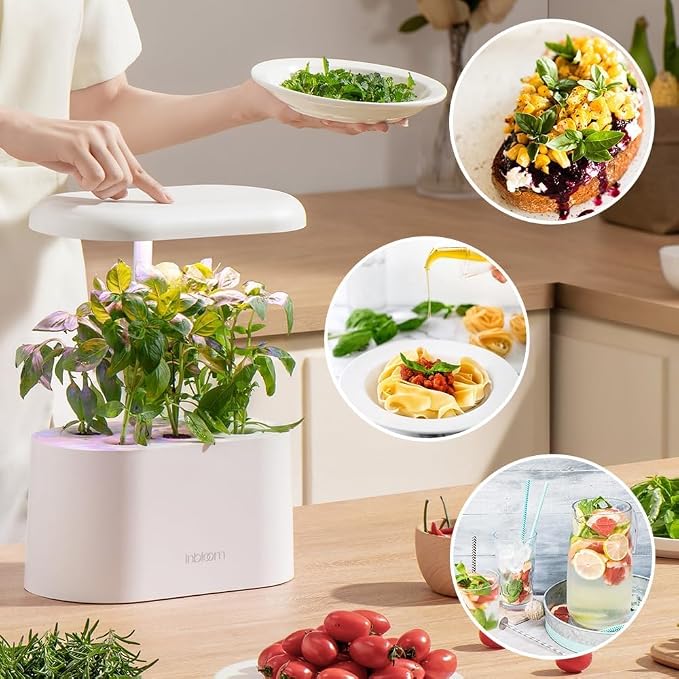 inbloom 12-Pod Gourmet Herb Basil Seed Pod Kit for AeroGarden, Ahopegarden Hydroponic Garden, Basil, Mint, Cilantro, Parsley, Shiso, Chicory, Liquorice, 400+ Seeds