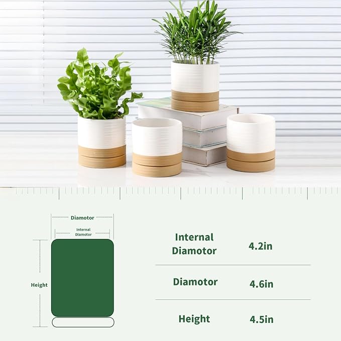 HASENSE Small Plant Pots, 4.6 Inch Ceramic Flower Pots with Two-Tone Glaze Design, Indoor Outdoor Planter with Drainage Hole and Saucer, Cute Tabletop Decor, 4 Pack, White-Brown