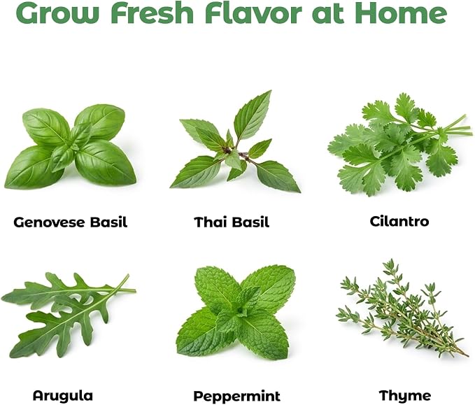 Herb Seed Pod Kit for AeroGarden, idoo, Ahopegarden, MUFGA Hydroponics Garden with Genovese Basil, Thai Basil, Thyme, Cilantro, Peppermint, and Arugula - Compatible with All Hydroponics (8-Pod)