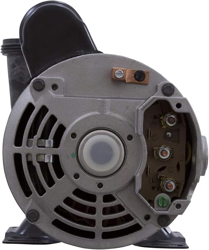 Gecko Alliance 06115000-1040 Flo-Master 1.5 HP 2 Speed 115V Xp2 Spa Pump