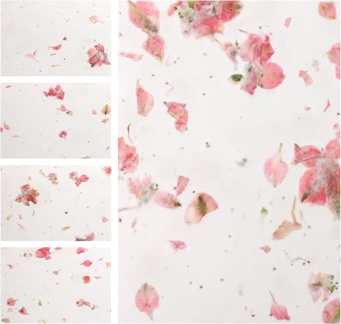 Blank Cards – 5 Sets of Pink Petal Cards with White Envelope Each, Embedded with Wildflower Seeds, All Occasion Cards for Thank You, Birthday, Holiday, Sympathy, Congratulations, Invitations, and Personal Messages