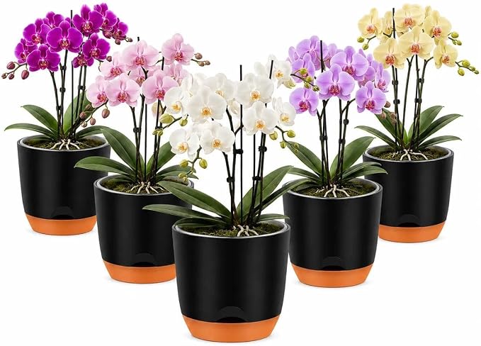 QCQHDU 7.2Inch Orchid Pots with Holes for Repotting, Double-Layer Plastic Self Watering Flower Pots for Indoor Plants with Drainage Holes, Clear Orchid Pot Match Decorative Orchid Container, 5 Packs