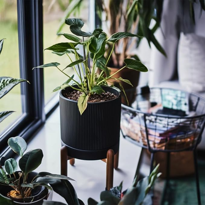 HERDUK 8 Inch Ceramic Planter with Natural Wood Stand w/Drainage & Saucer - Modern Indoor Planter for Cacti, Snake Plants & Aloe Vera Black
