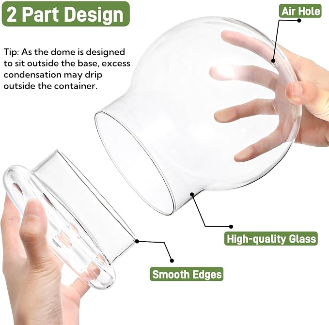 2 Pack Round Glass Cloche Domes with Air Hole and Base, 4.6 X 6.6 Inches Clear Terrarium Planter, Cloche Planters, Terrarium Bell Jar, Humidity Dome for Plants, Borosilicate Glass