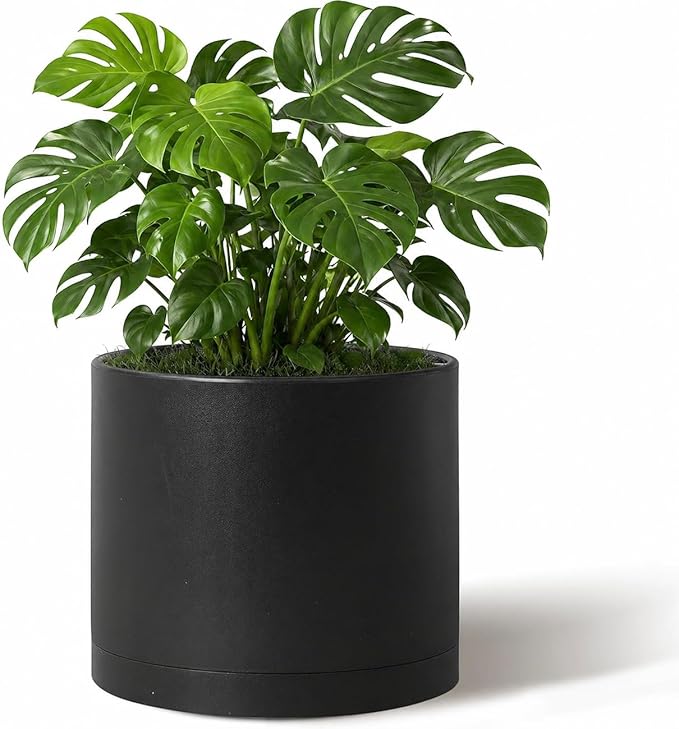 Giraffe Creation 10 Inch Cylinder Plant Pot, Modern Round Planter with Drainage Holes and Saucer, Lightweight Plastic Flower Pot for Indoor Outdoor Plants, Black