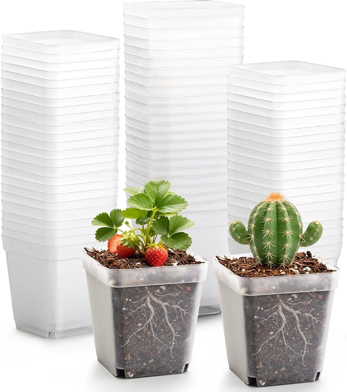 RooTrimmer 2.7 Inch Square Nursery Pots, 60 Packs Clear Seedling Pots with Drainage Holes, Reusable Propagation Pots Small Plant Container for Indoor Outdoor Gardening