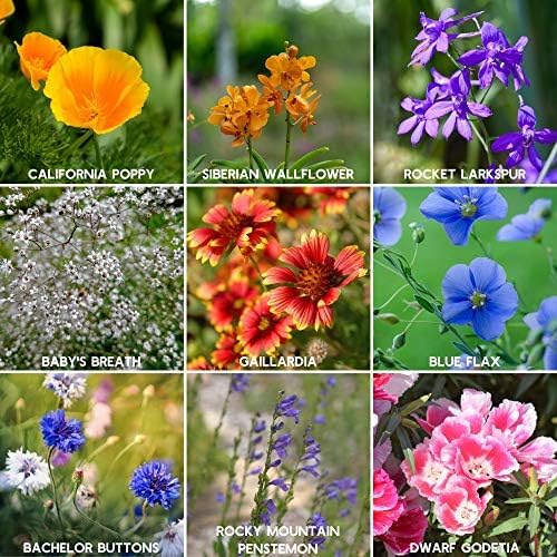 Mountain Valley Seed Co Rocky Mountain Wildflower Seeds Mix 4 oz Seed Pouch | 22 Wild Flower Seed Varieties - Annuals, Perennials and Bi-Annuals - Flower Garden
