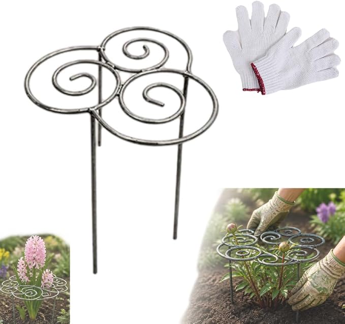 Metal Plant Support Ring for Garden, Heavy Duty Green Flower Hoop with Gardening Gloves, Peony Cage Stand for Outdoor Beds Indoor Pots, Grow Through Trellis 3 Sizes (1PC, Small (10.8in Diameter))